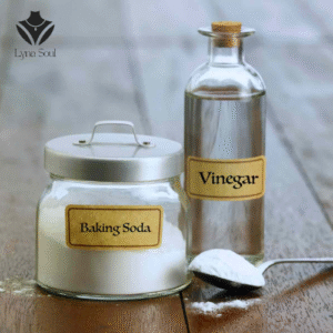 kiểm tra bạc thật bằng các nguyên liệu sau